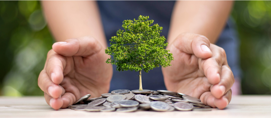 Socially Responsible Investing