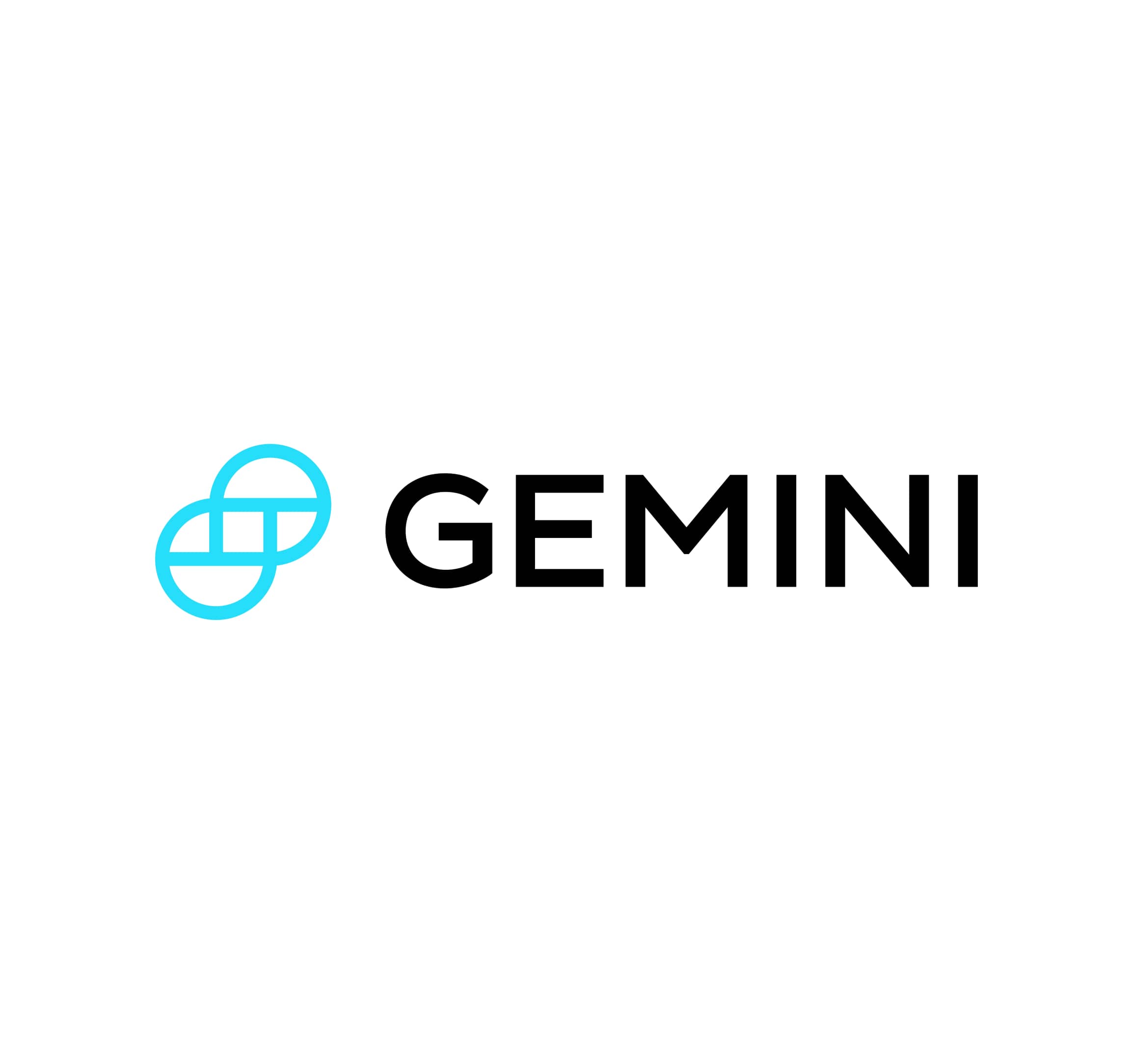 Gemini Wallet Review 2024