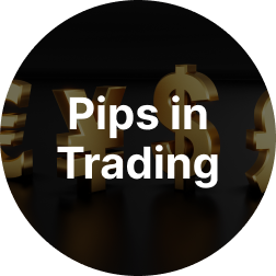 What Are Pips in Trading?