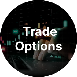 How To Trade Options? A Complete Guide for Investors