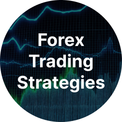 Forex Trading Strategies for Beginners