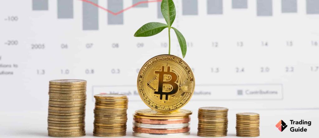 How to Choose the Right Bitcoin Platform for Investing