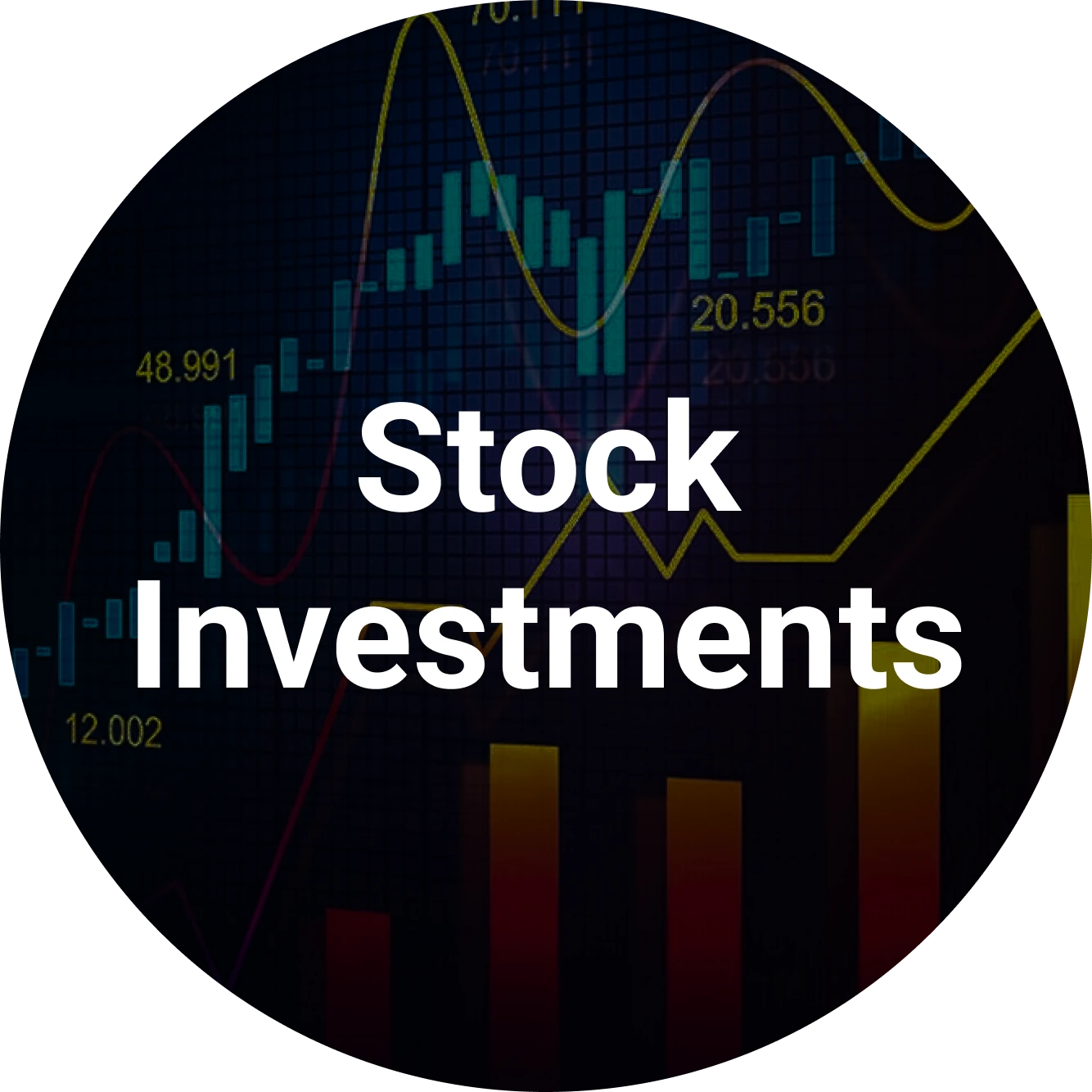Stock Investments
