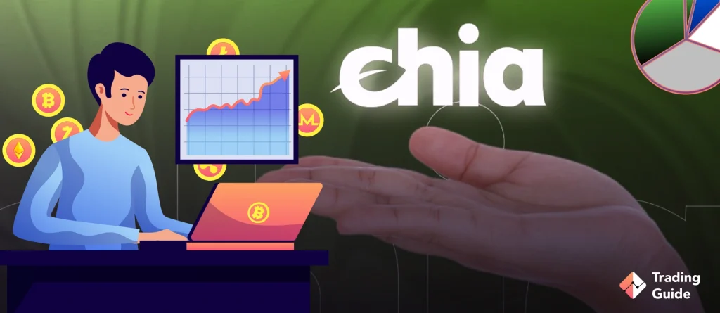 How to Store Chia?