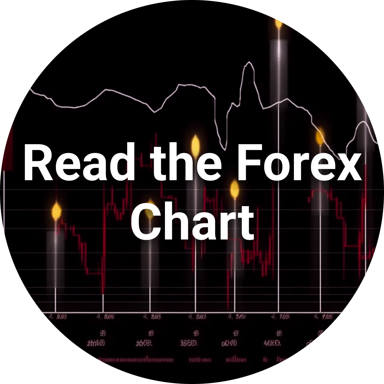 How to Read the Forex Chart